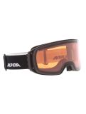 Miniatuur Alpina, Arris Q skibril unisex Black Matt zwart 