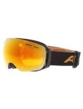 Miniatuur Alpina, Granby Q-lite skibril unisex Black Gold Matt zwart 