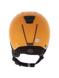 Miniatuur Alpina, Kroon Mips skihelm unisex Burned Yellow Matt geel 