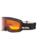 Miniatuur Alpina, Nakiska skibril unisex Black Matt zwart 