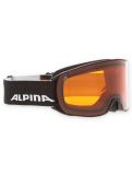 Miniatuur Alpina, Nakiska skibril unisex Black Matt zwart 