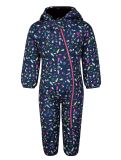 Miniatuur Dare2b, Bambino II ski overall kinderen Snowflake Ditsy Print grijs 