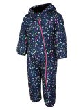 Miniatuur Dare2b, Bambino II ski overall kinderen Snowflake Ditsy Print grijs 