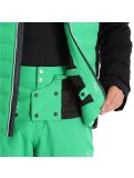 Miniatuur Dare2b, Cipher Jacket ski-jas heren vivid Groen