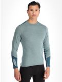 Miniatuur Helly Hansen, Lifa Merino Midweight Crew thermoshirt heren Cactus groen 