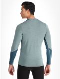 Miniatuur Helly Hansen, Lifa Merino Midweight Crew thermoshirt heren Cactus groen 