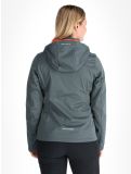 Miniatuur Icepeak, Boise softshell ski-jas dames Green groen 