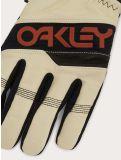 Miniatuur Oakley, Factory Winter Gloves 2.0 skihandschoenen unisex Artic White / Ginger wit 