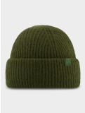 Miniatuur Poederbaas, Artic Beanie muts unisex Green groen 