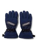 Miniatuur Spyder, Overweb GTX skihandschoenen heren True Navy blauw 