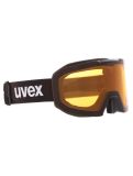 Miniatuur Uvex, Evidnt Attract Cv Dl/fm skibril unisex Black Matt / Mirror Copper bruin, zwart 