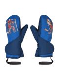 Miniatuur Ziener, Lemmi Minis skihandschoenen kinderen estate blauw 