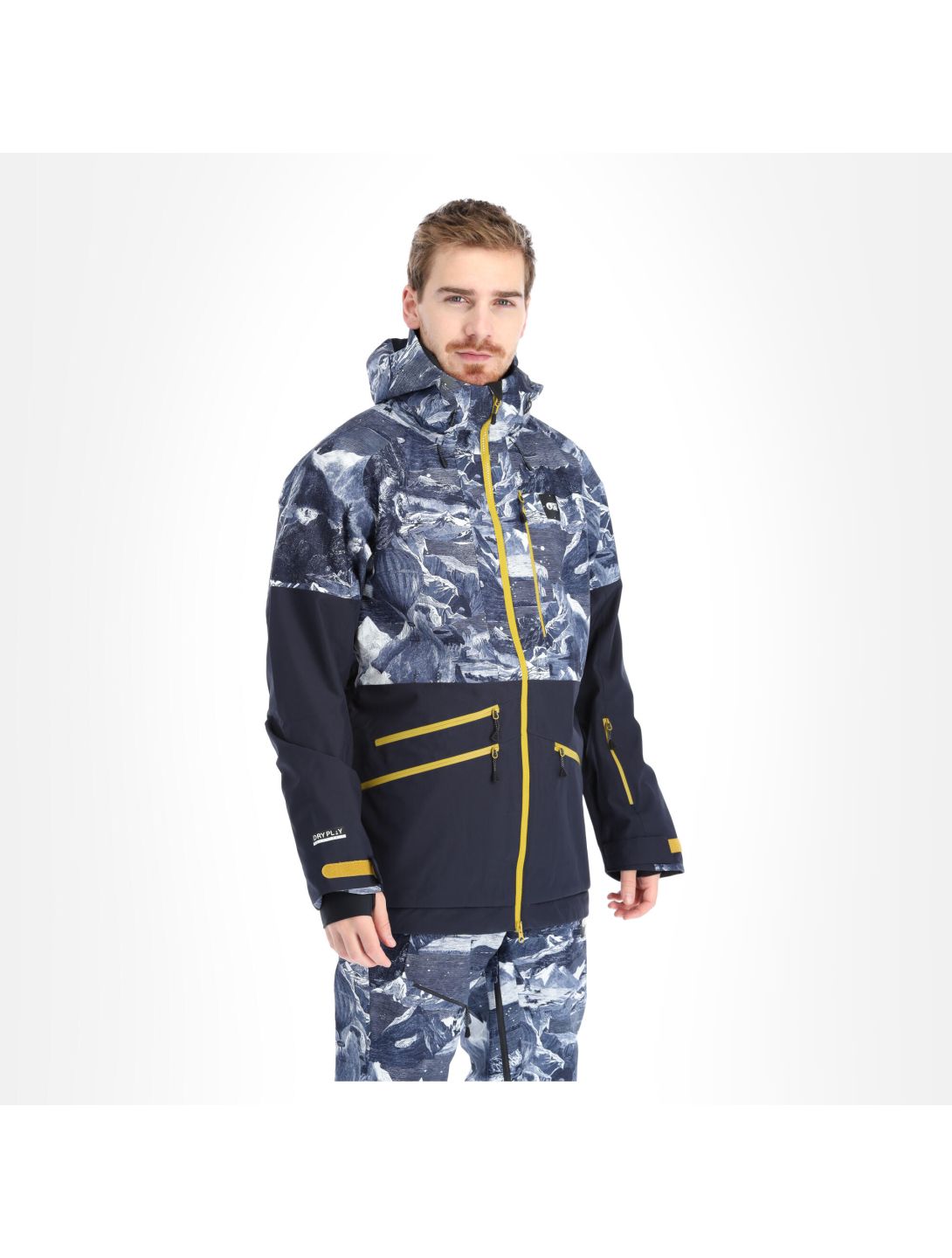 Picture, Stone Jkt ski-jas heren print Blauw