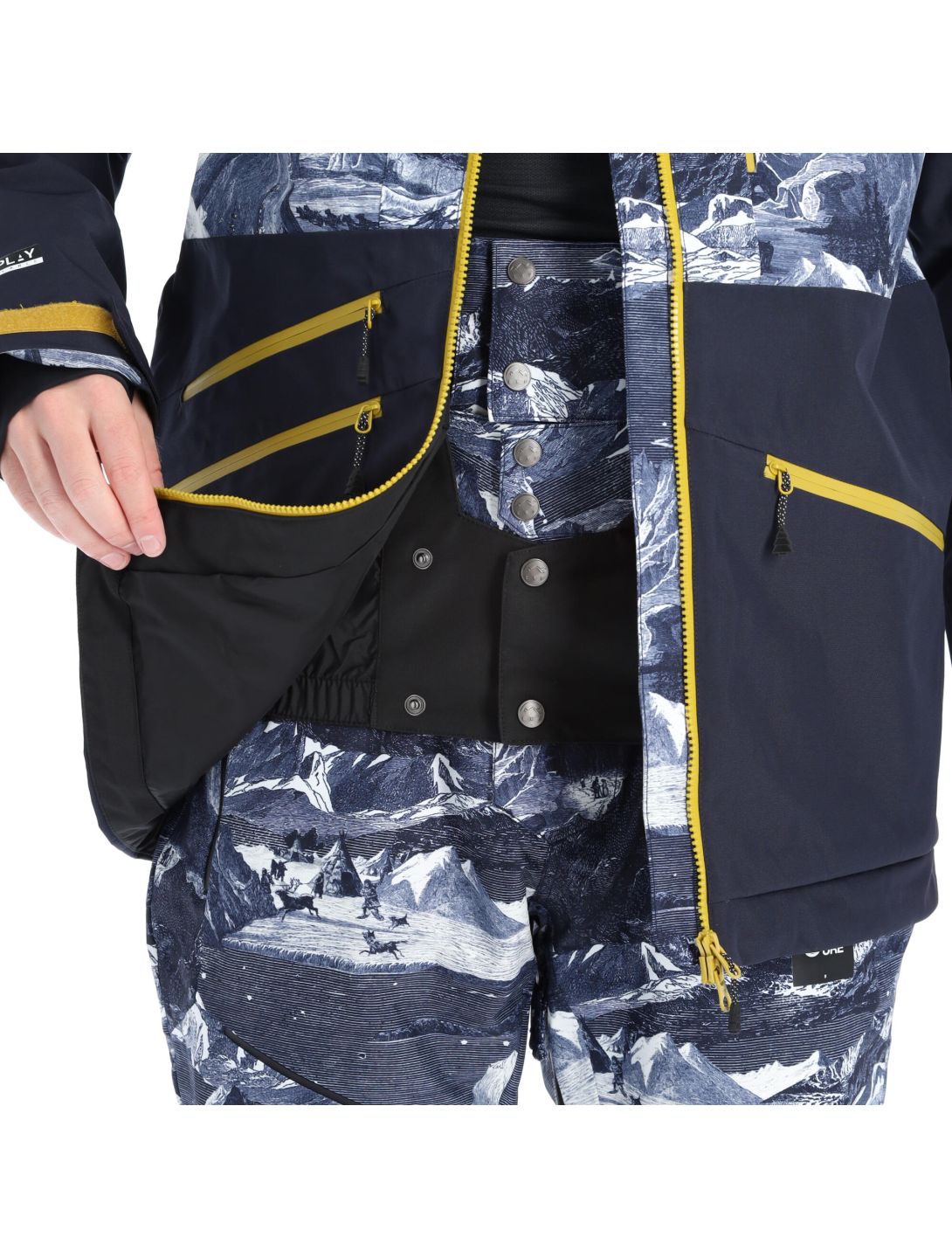 Picture, Stone Jkt ski-jas heren print Blauw