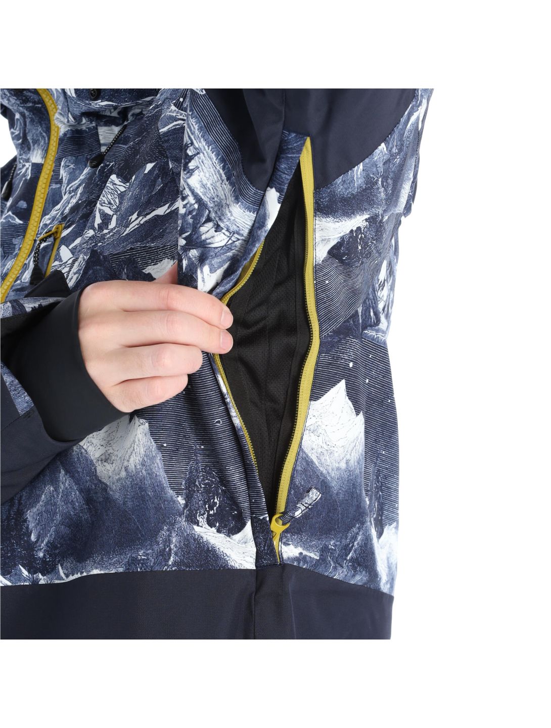 Picture, Stone Jkt ski-jas heren print Blauw